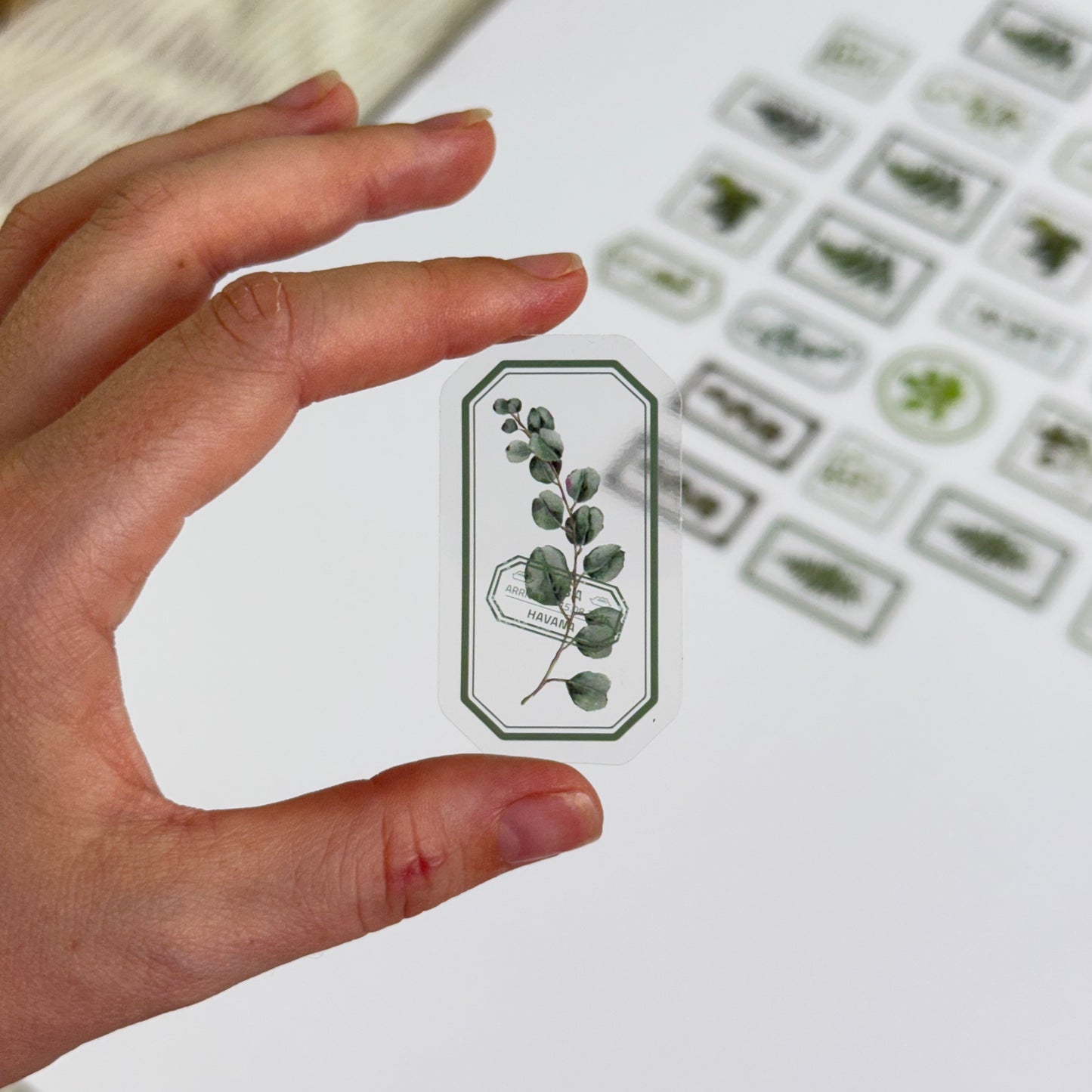 ๐ข Flower Transparent Stickers โ Green