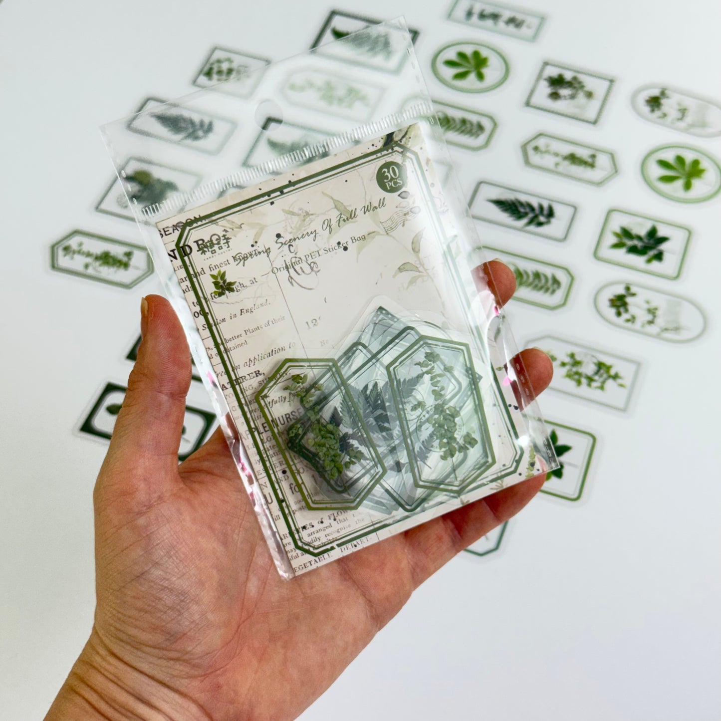 ๐ข Flower Transparent Stickers โ Green