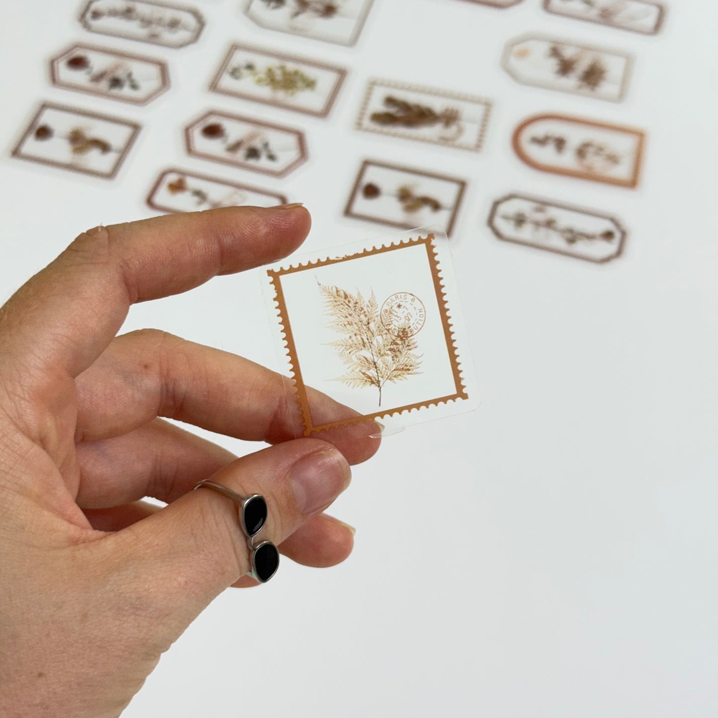 🟠 Flower Transparent Stickers – Orange