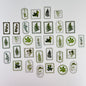 🟢 Flower Transparent Stickers – Green